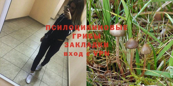 mdpv Алексин
