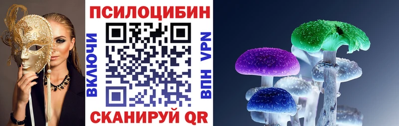наркота  Агрыз  дарк нет Telegram  Псилоцибиновые грибы мицелий 